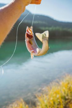 Fishing in and near Huntersville North Carolina