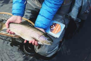 Pee Dee River in North Carolina Fish Species