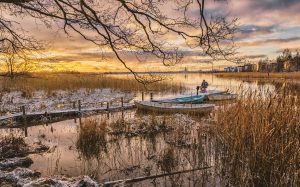 Why fish the Yellowstone River Wyoming