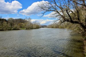 Beartrap Creek Wyoming Fish Types