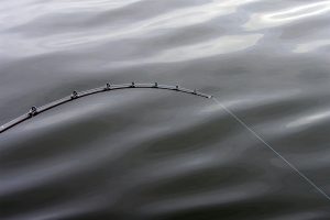 Fishing near Evanston Wyoming