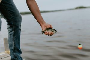 Sweetwater River Wyoming Fishing