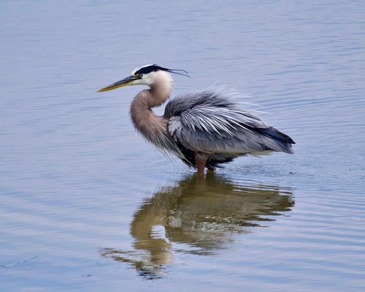 Mobile Fishing Tips for Alabama