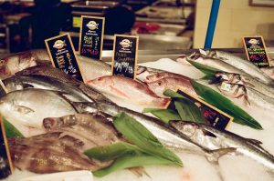 Cape Cod Fishing Tips for Bluefish and Striped Bass