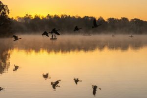 Clinton Lake Fishing Tips for Kansas Anglers