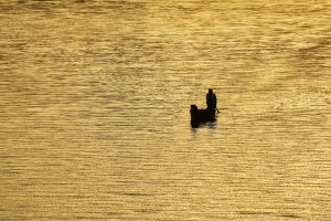 Columbia Fishing Tips for Nearby Lakes and Rivers