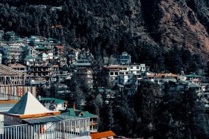 Maui Fishing Tips for Charter Trips