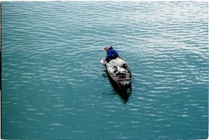 Eugene Fishing Tips for Willamette River